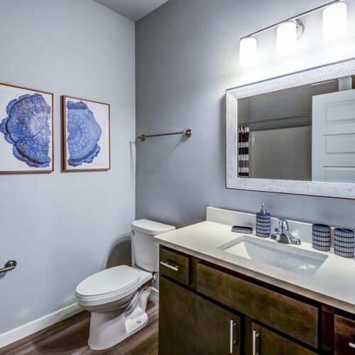Modern bathroom in Flats at Neill Park—features a single sink vanity, mirror, toilet, towel rack, and two blue botanical prints on a light gray wall. Discover stylish apartments in Burnsville MN.