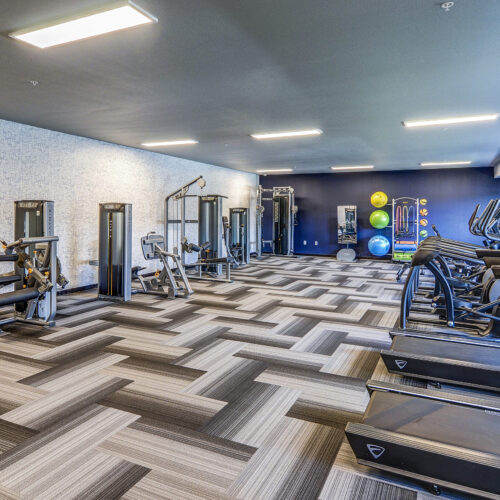 Modern gym at Flats at Neill Park features various exercise machines, treadmills, weight equipment, exercise balls, and bright overhead lighting on patterned flooring—perfect for residents of apartments in Burnsville MN.